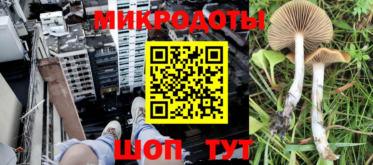 Полысаево  Галлюциногенные грибы прущие грибы  Галлюциногенные грибы прущие грибы  Вход с VPN 